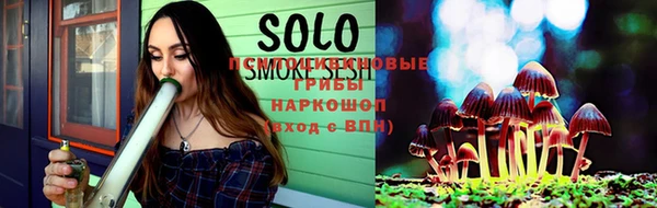 спиды Аркадак