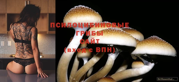 индика Балахна