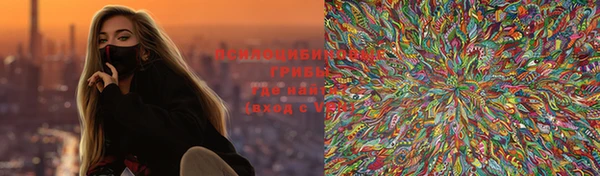 спиды Аркадак