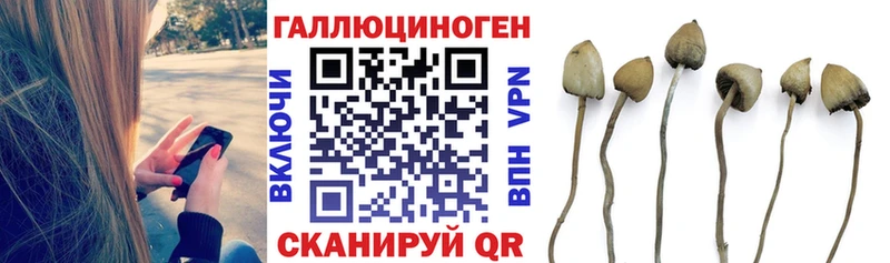 Псилоцибиновые грибы мухоморы  Покачи 